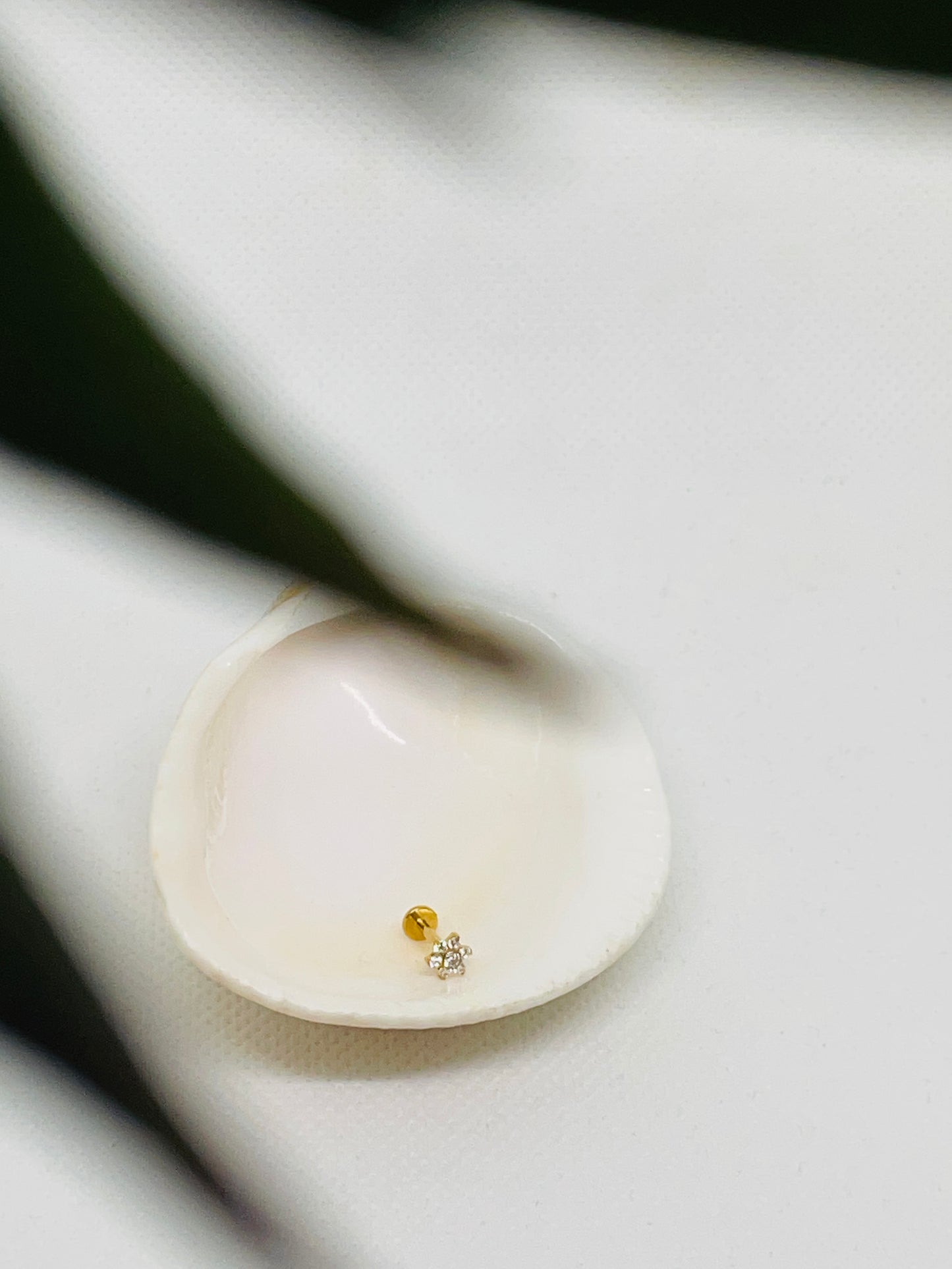 Piercing Fleur en titane