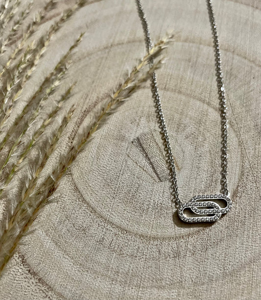 Stainless Steel Tandem Necklace