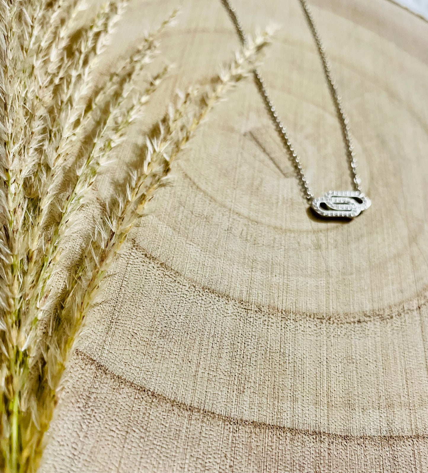 Stainless Steel Tandem Necklace