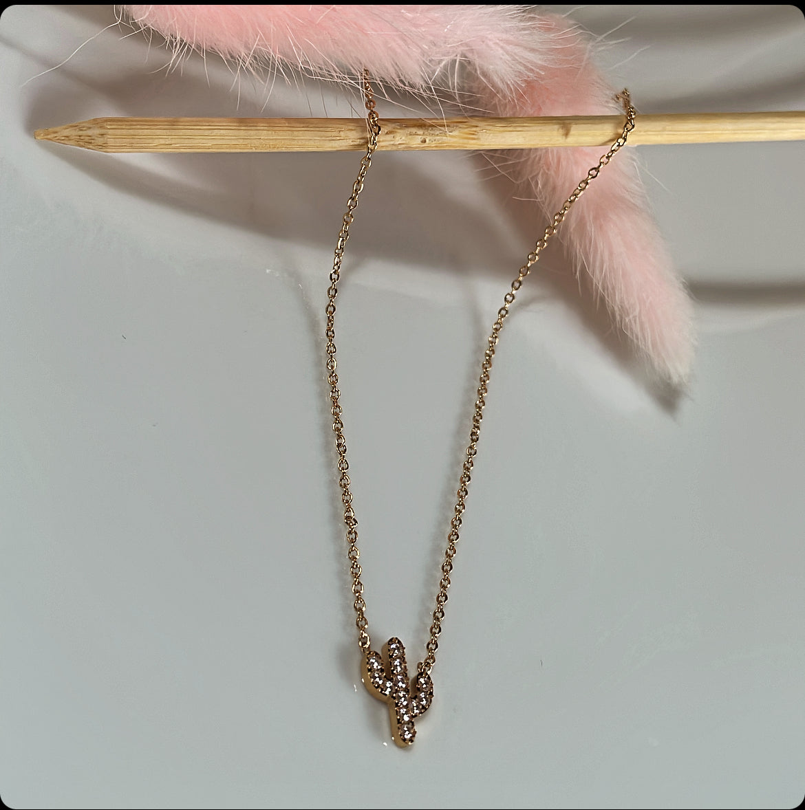 collier cactus